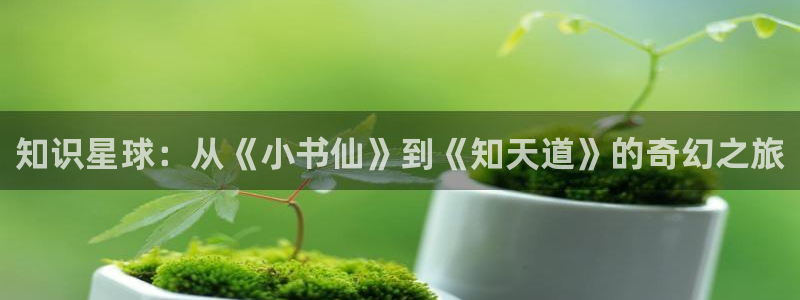 二号首长奇书网：知识星球：从《小书仙》到《知天道》的奇幻之旅