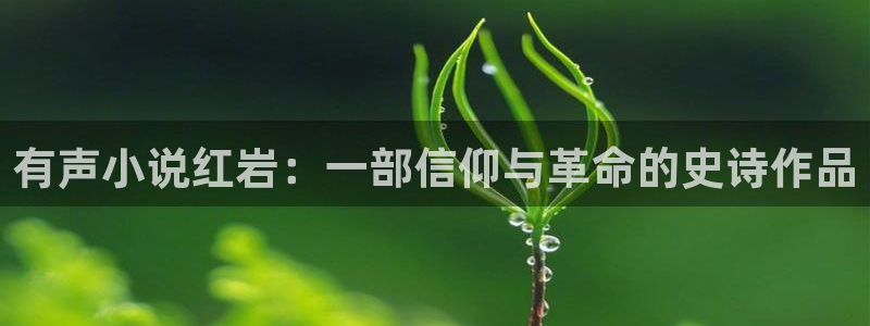 大道朝天奇书网：有声小说红岩：一部信仰与革命的史诗作品